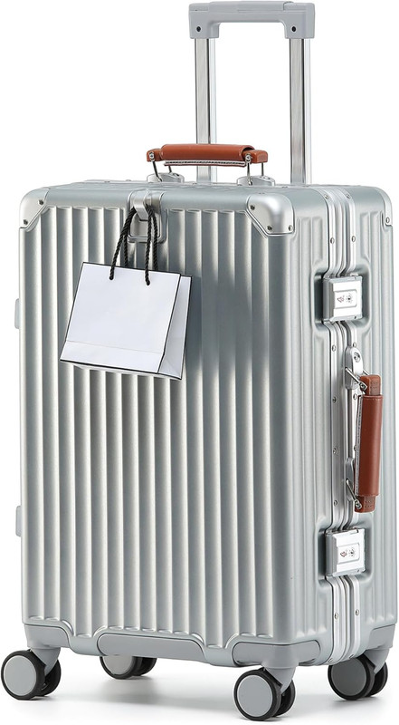 20in Carry On Luggage TSA Lock Spinner Wheels Zipperless PC Suitcase Silver