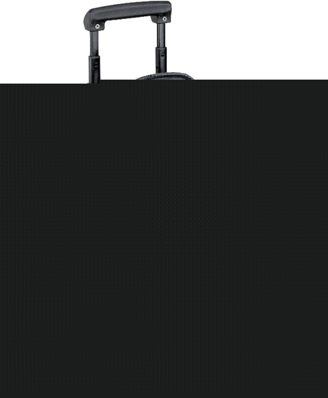 LLR61613 Oversized Rolling Catalog Case