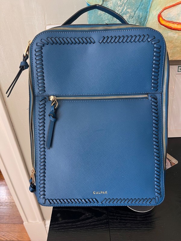CALPAK Kaya 15 Inch Laptop Backpack