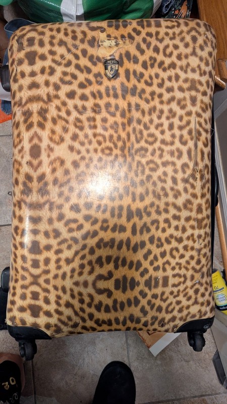 Heys Cheetah Hardshell Luggage Set