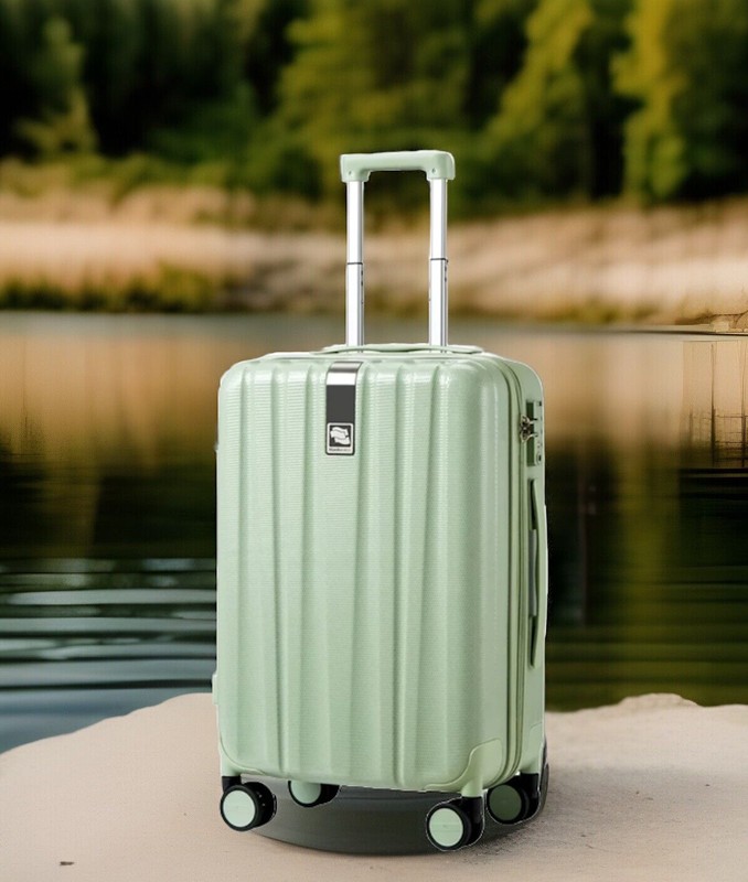 Hanke Carry On Luggage Hard Shell 20in Spinner Wheels Bamboo Green TSA Lock NEW