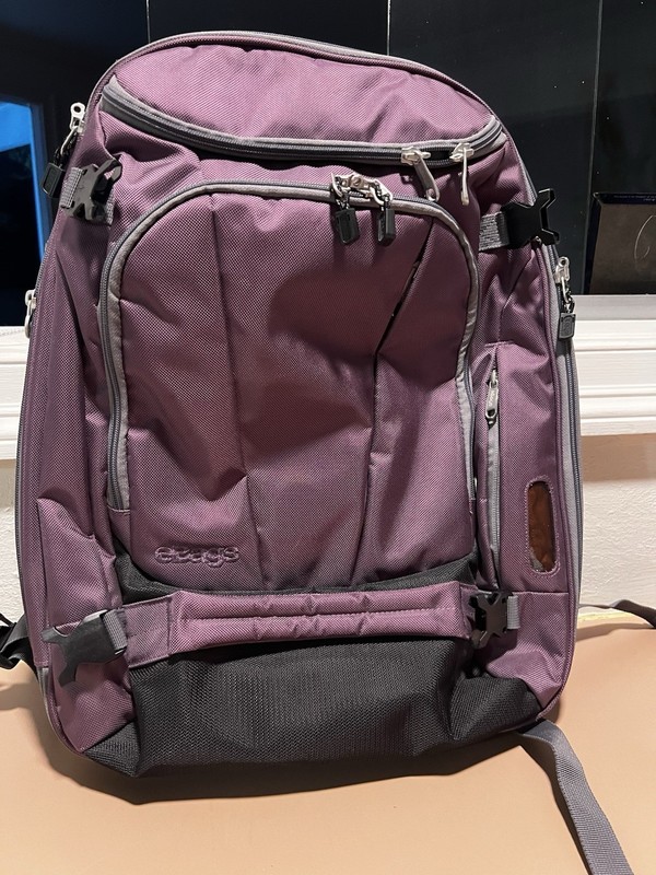 eBags Mother Lode Full Size Convertible Backpack Travel Luggage in Purple