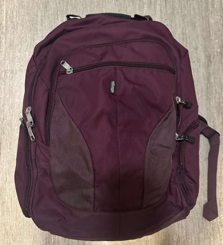 eBags TLS Mother Lode Weekender Convertible Junior Purple Backpack