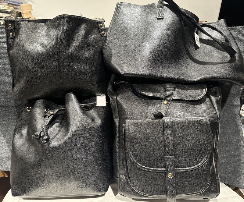 Bella Russo 4 Piece Luggage Set, Backpack, Hand Bag, Over The Shoulder Bag, More