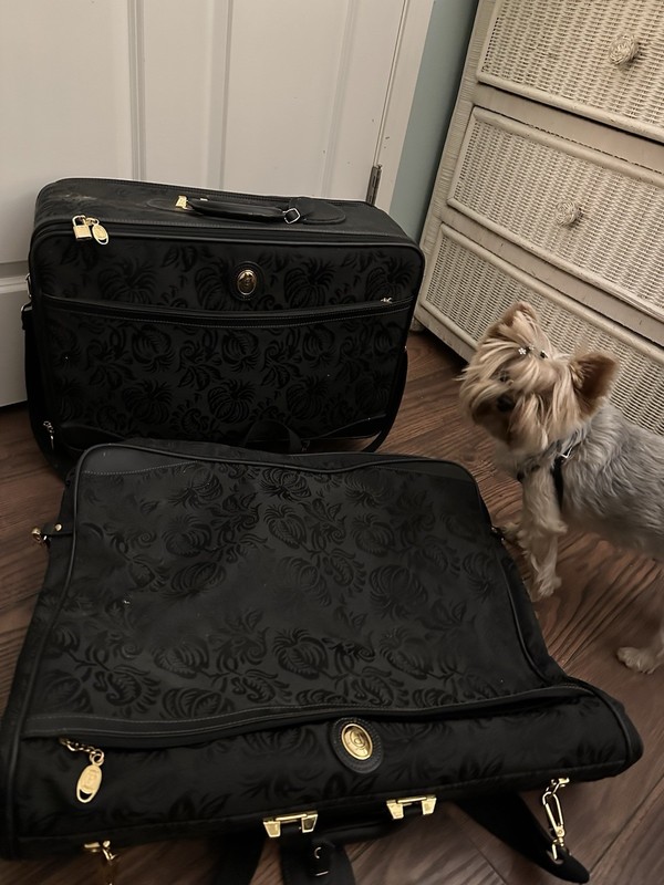Three Piece Travel Luggage Set – Black Canvas Damask w/ Flowers & Gold Hardware