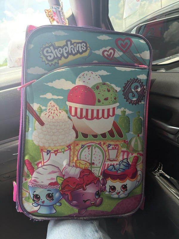 Shopkins Luggage Hand Carry Travel Suitcase..Used