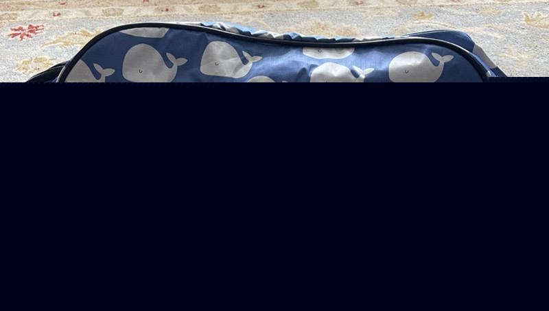 LUCAS Designer Italy Carry On Weekend Whale Print Lightweight Duffle Bag MINT! gallery