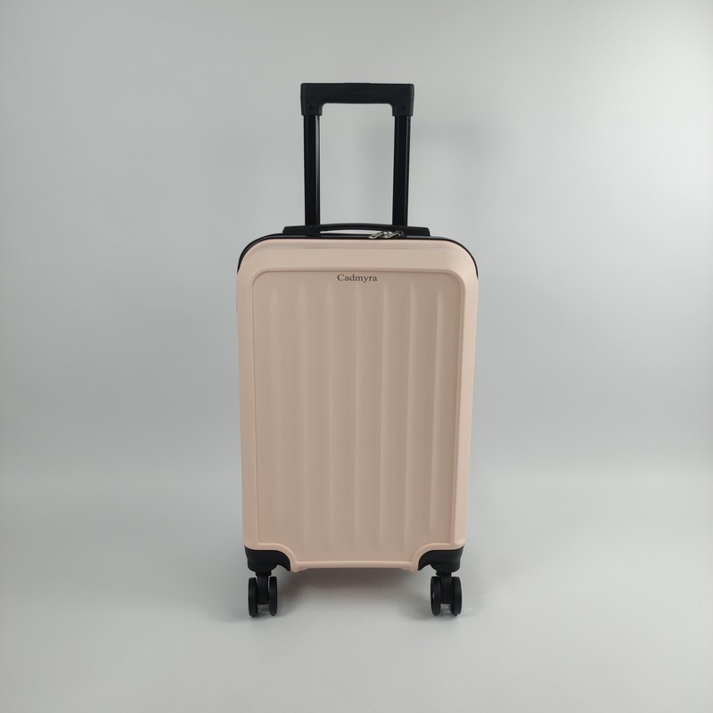 Cadmyra 20-Inch Light Pink Hard Shell Carry-On Suitcase with Spinner Wheels