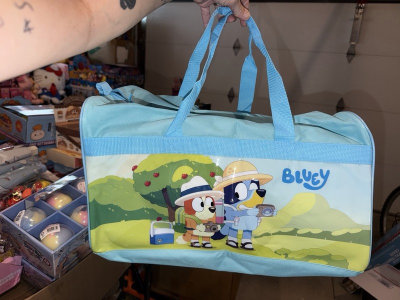 Bluey Blue Cartoon Accessory Bag with Carry Handle, Zipper Closure