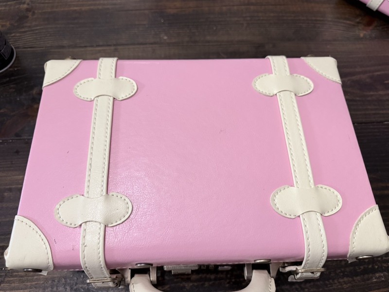 Pink Travel Luggage Mini Suitcase Makeup Leather Trunk Carry On Lock Combo NWOT