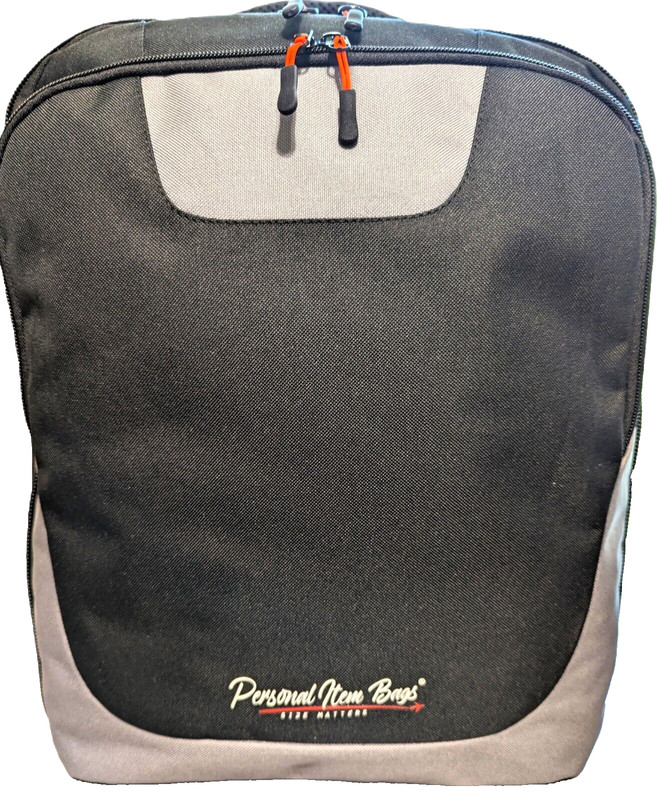 SIMPLE SALE- TWO PERSONAL ITEM BAGS $49.95 WITH FREE SHIPPING! 18x14x8 INCHES.