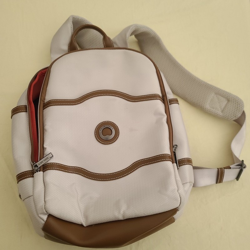 DELSEY Paris Chatelet 2.0 Travel Laptop Backpack, Angora, One Size