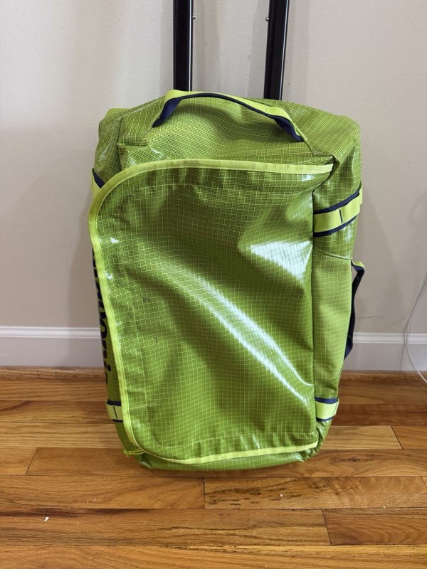 Patagonia Black Hole Wheeled Duffel Bag 40L Peppergrass Green