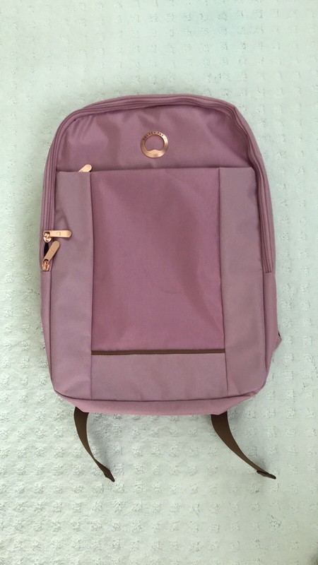 Delsey Paris Ramey Backpack Color Pink Size 14″L 17.25 x 12.25 x 4.25 in
