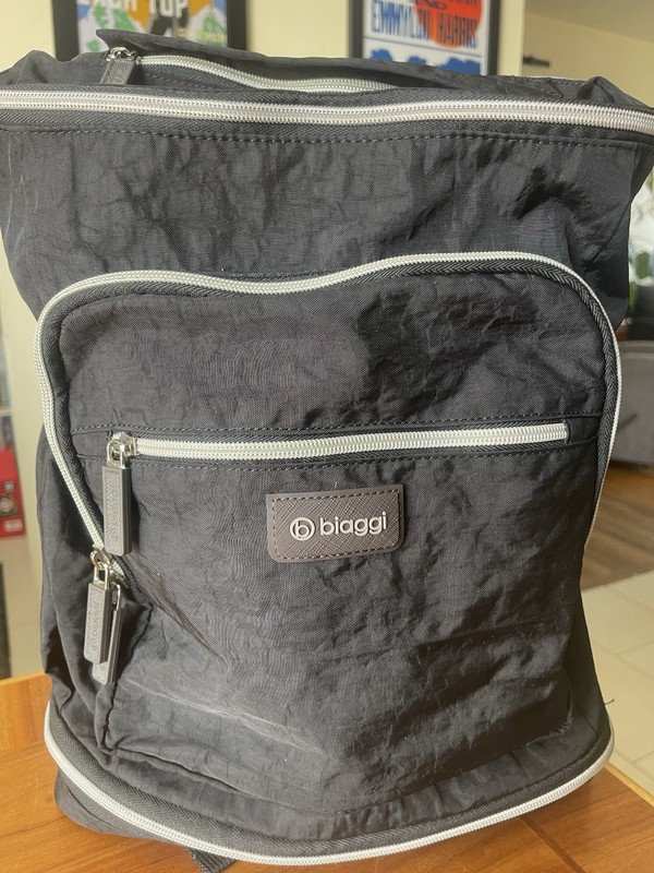 Biaggi Zipsak Small Backsak Foldable Travel Backpack 16×12.5×7 Black Shark Tank