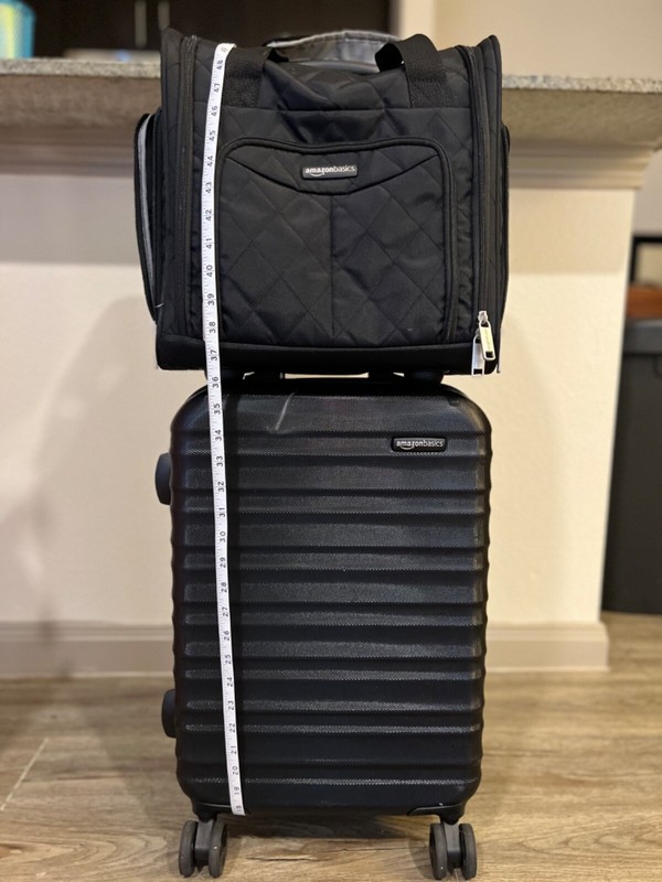 BUNDLE – Amazon Basics 21-Inch Hardside Spinner & Underseat Carry-On Roll Bag 