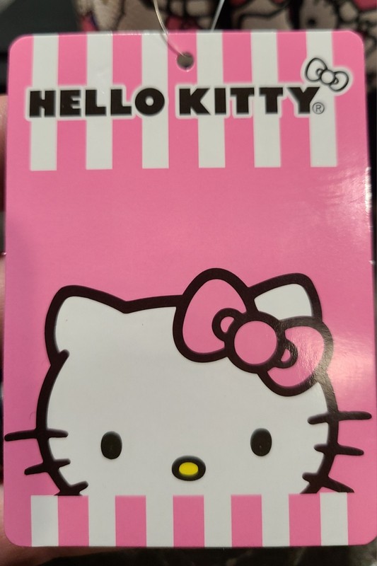 2025 HELLO KITTY SANRIO ACCESSORY BAG gallery