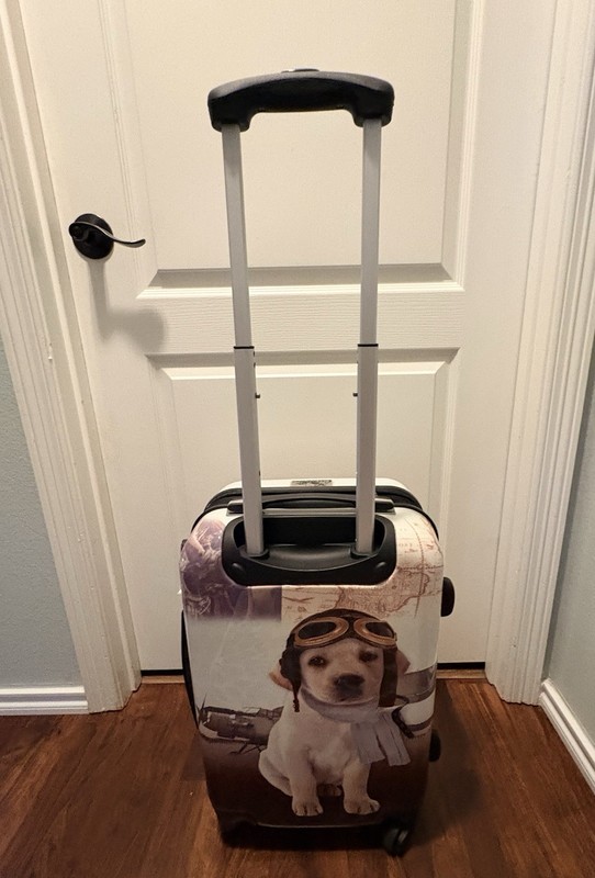 Chariot 20″ Spinner Carry-On Luggage, Pilot Dog