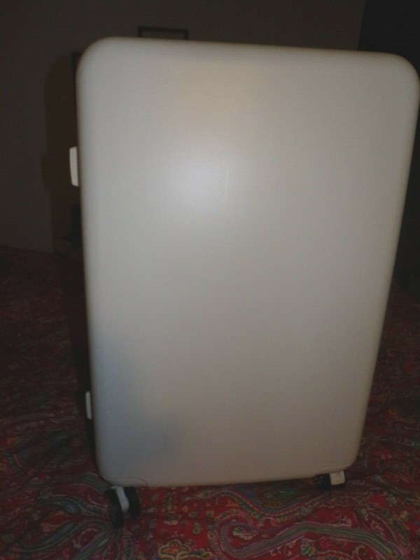 Mark & Graham Jet Set Checked Spinner luggage, white, 28", new, POTTERY BARN gallery